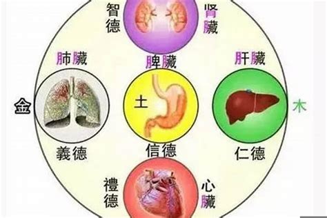 属土的人缺什么|五行属土的人缺什么 – 五行土代表什么